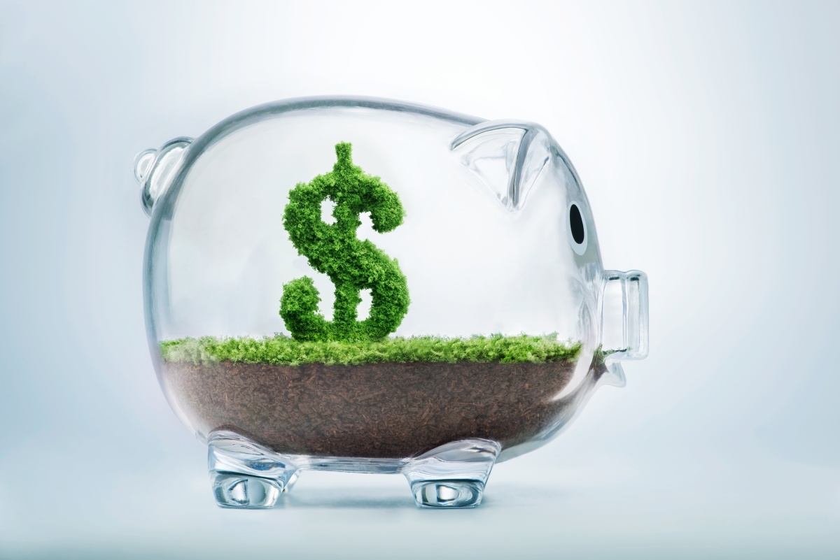 2025: The Year of Pay Transparency – What It Means for Your Business